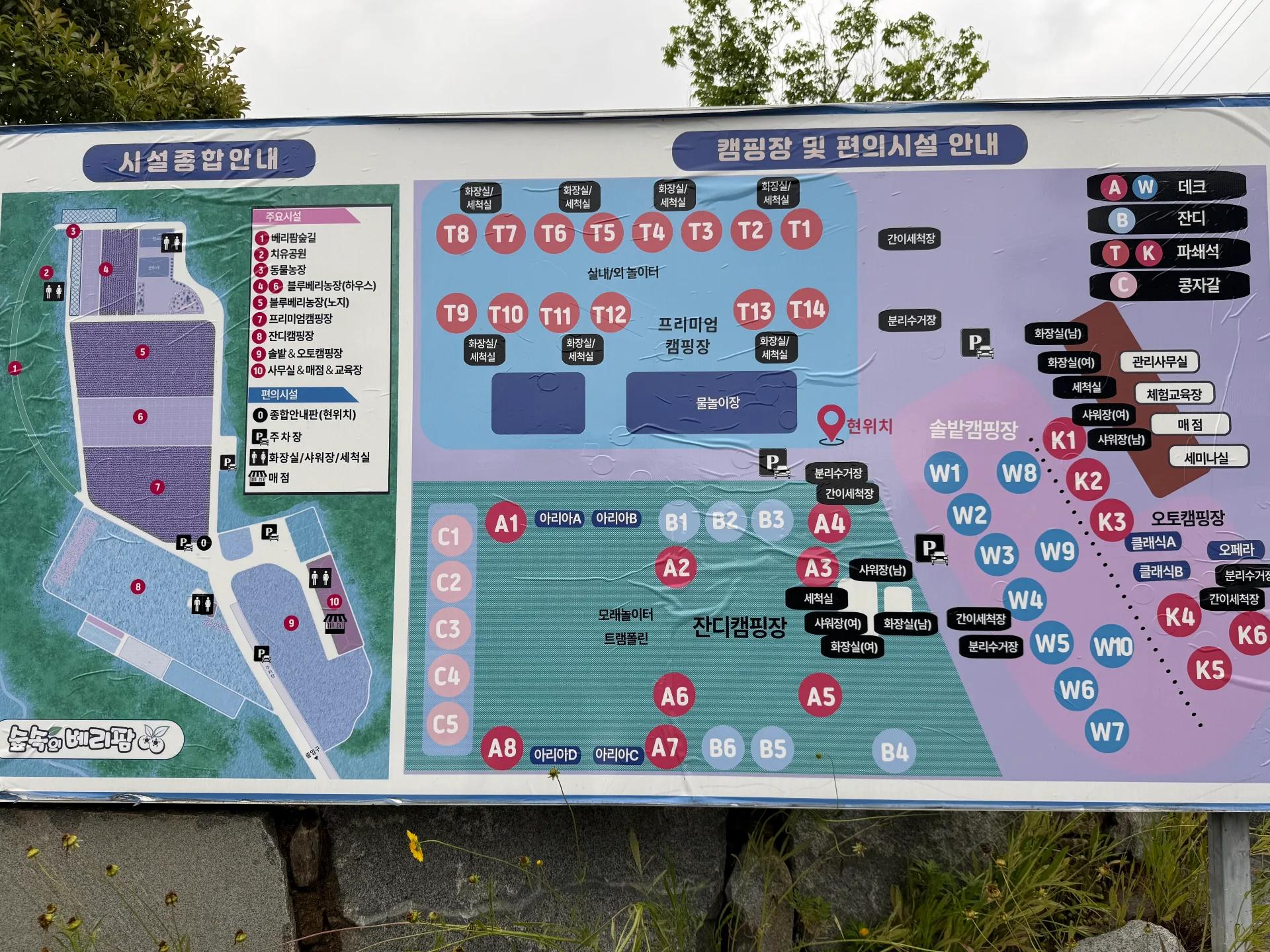 사전 교육