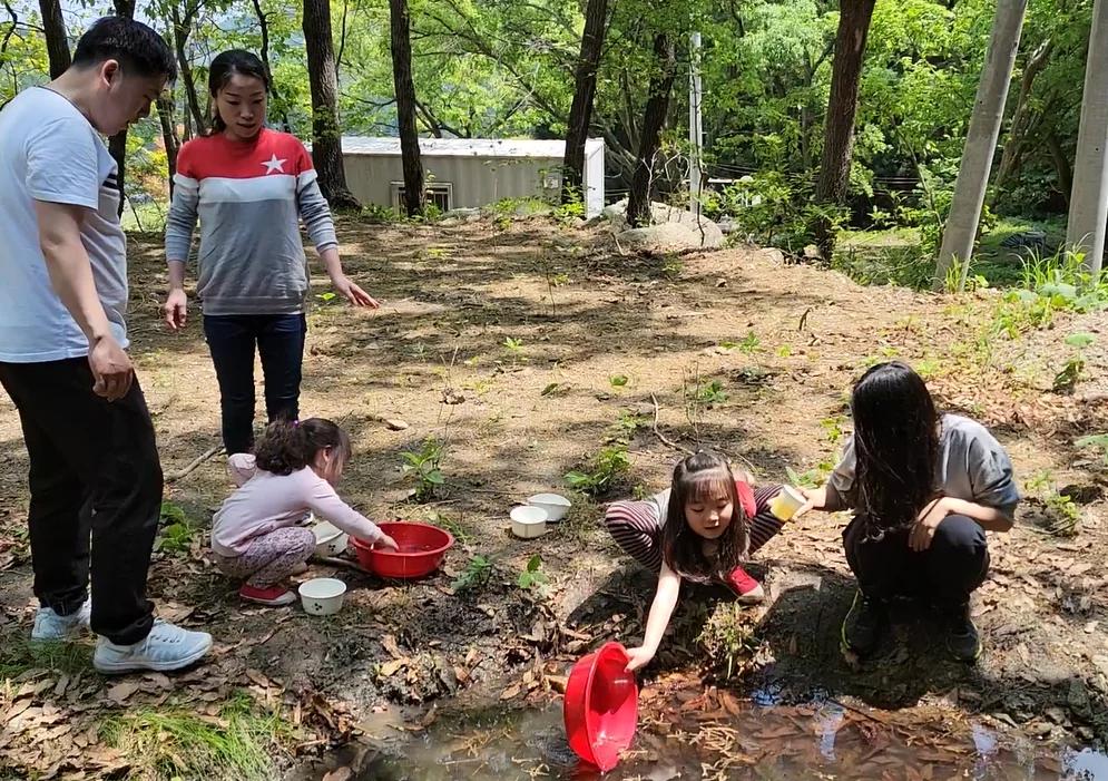 숲놀이