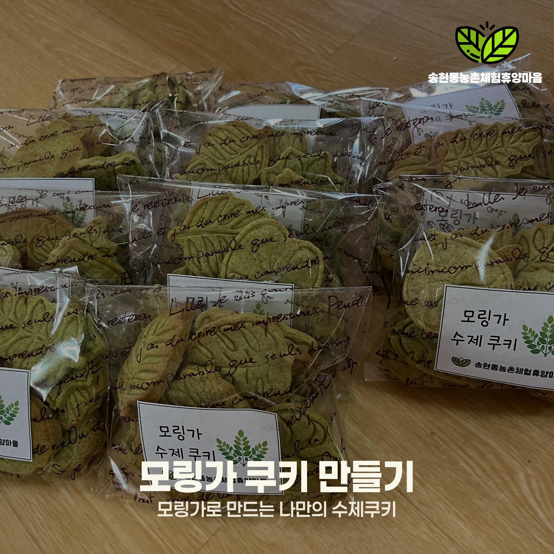 초록빛 영양 가득 모링가 쿠키 만들기