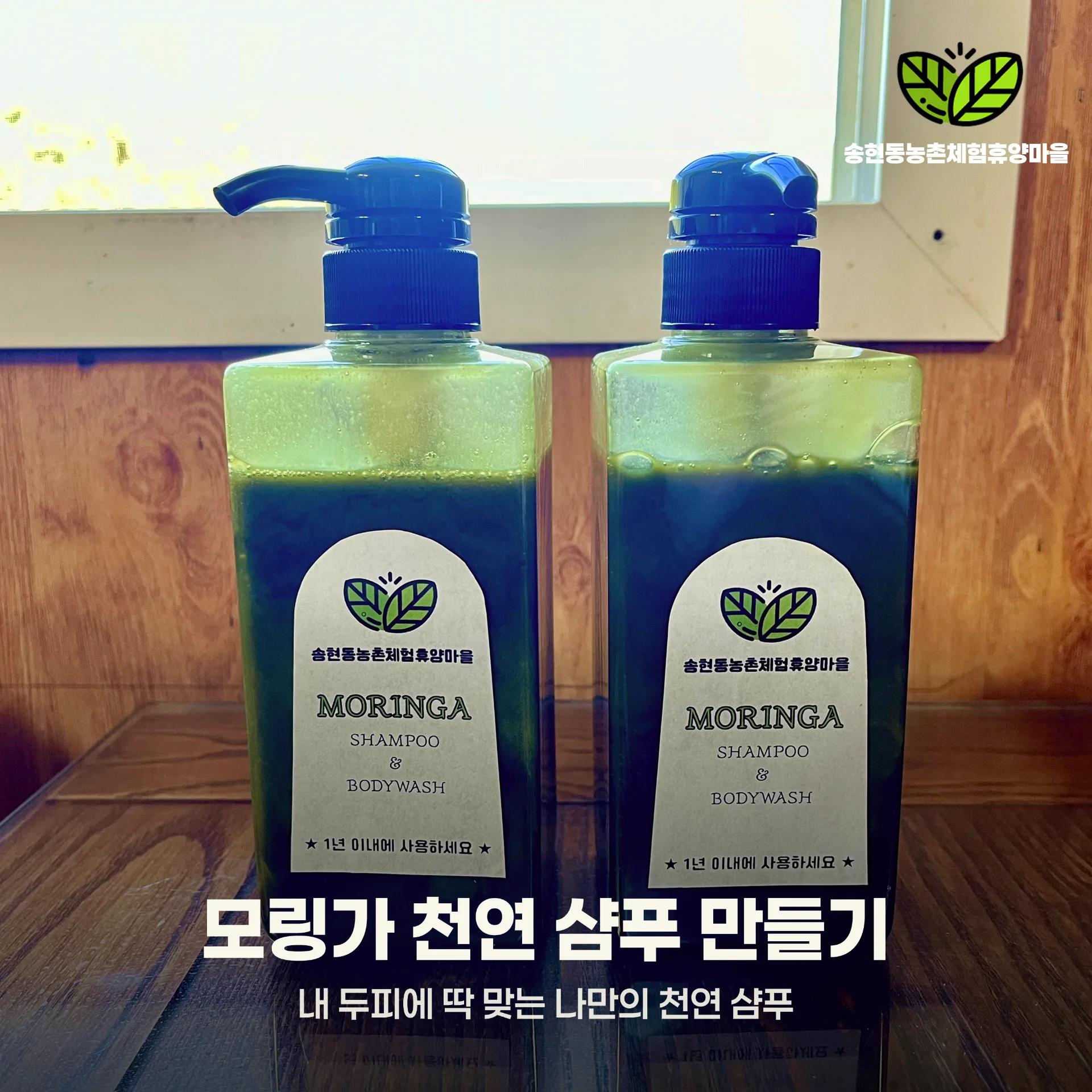 영양 가득! 나만의 모링가 천연 샴푸 만들기