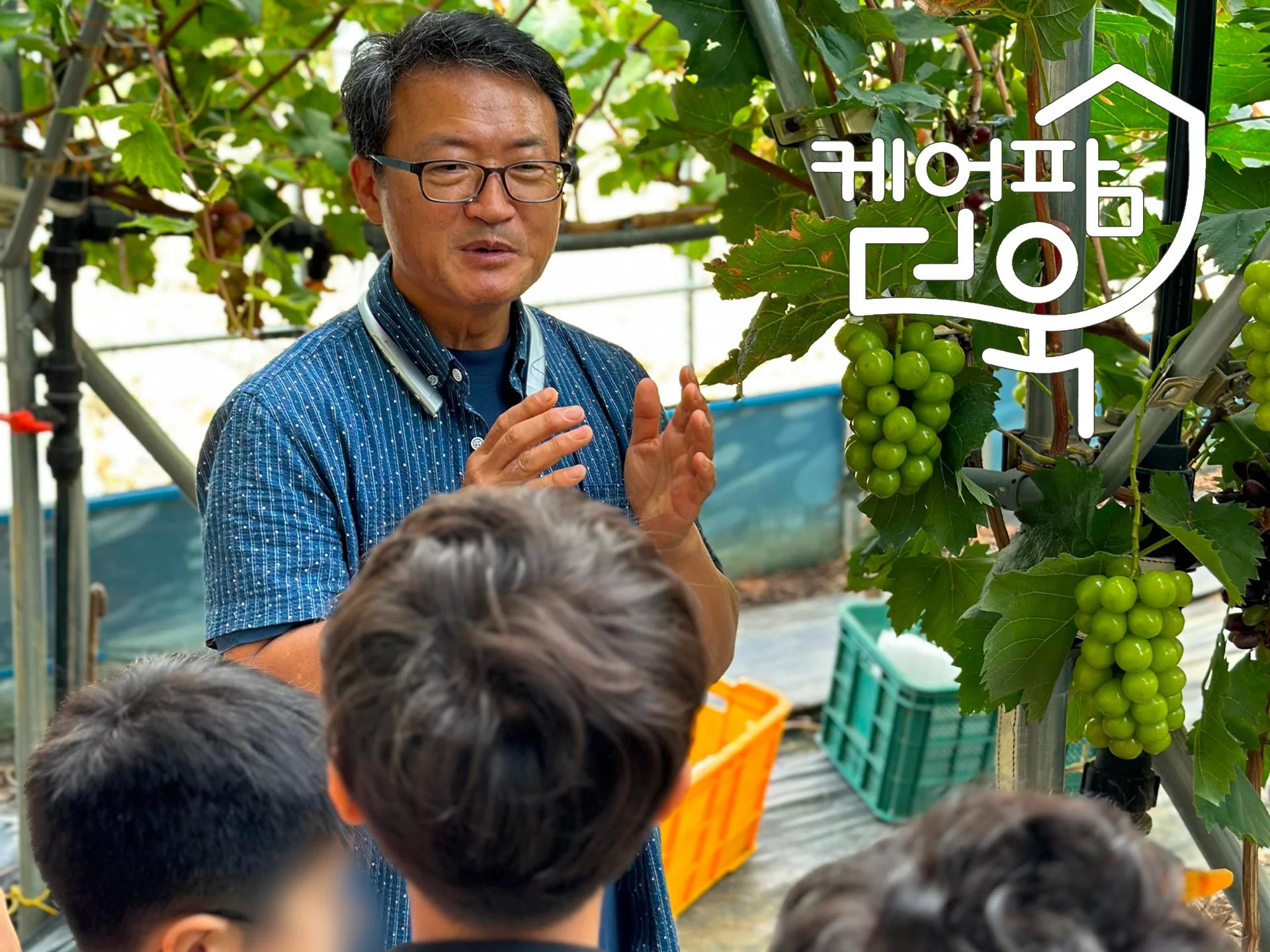 한 송이 따서 젤리까지, 샤인머스켓 하루