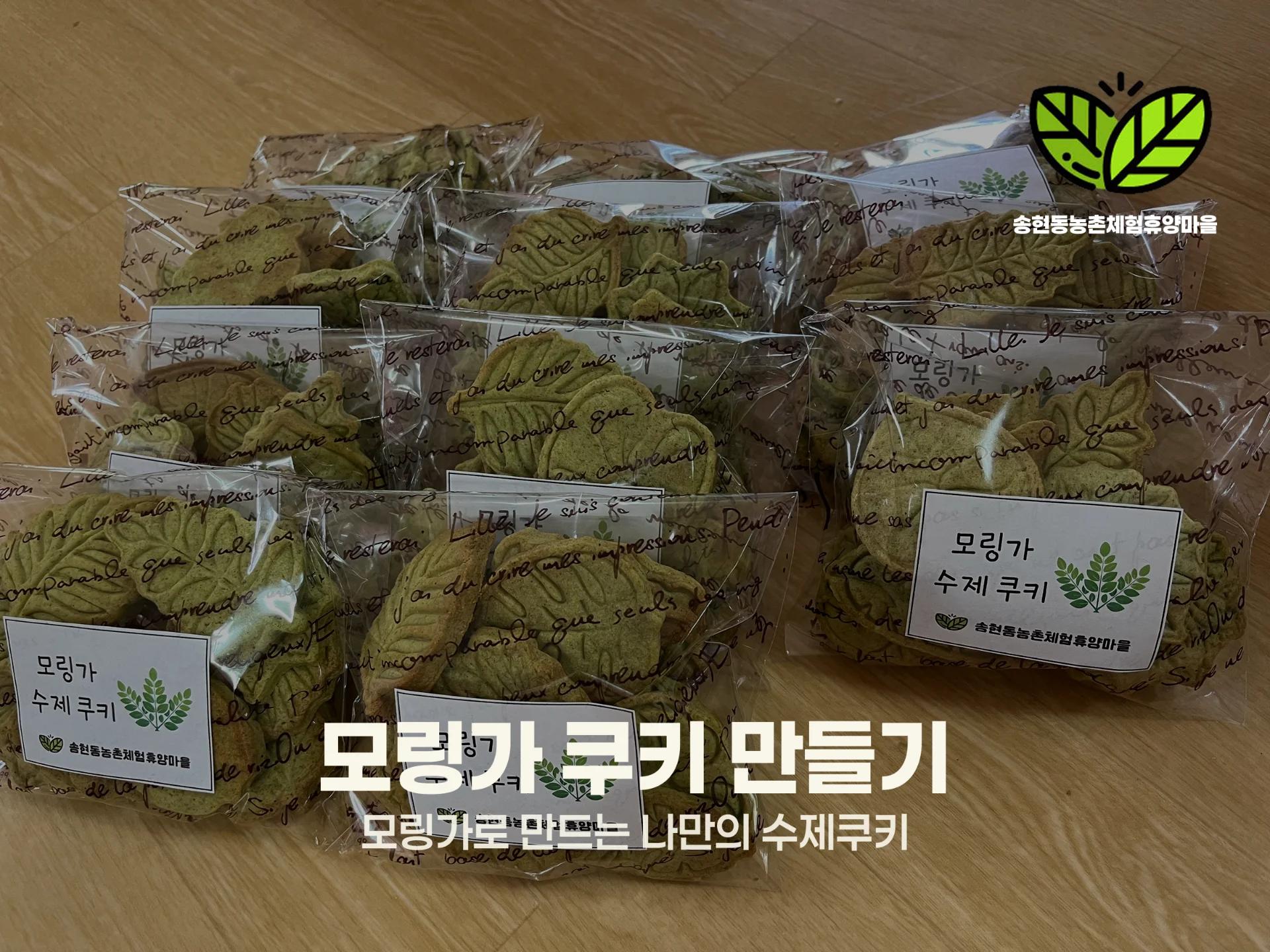 초록빛 영양 가득 모링가 쿠키 만들기