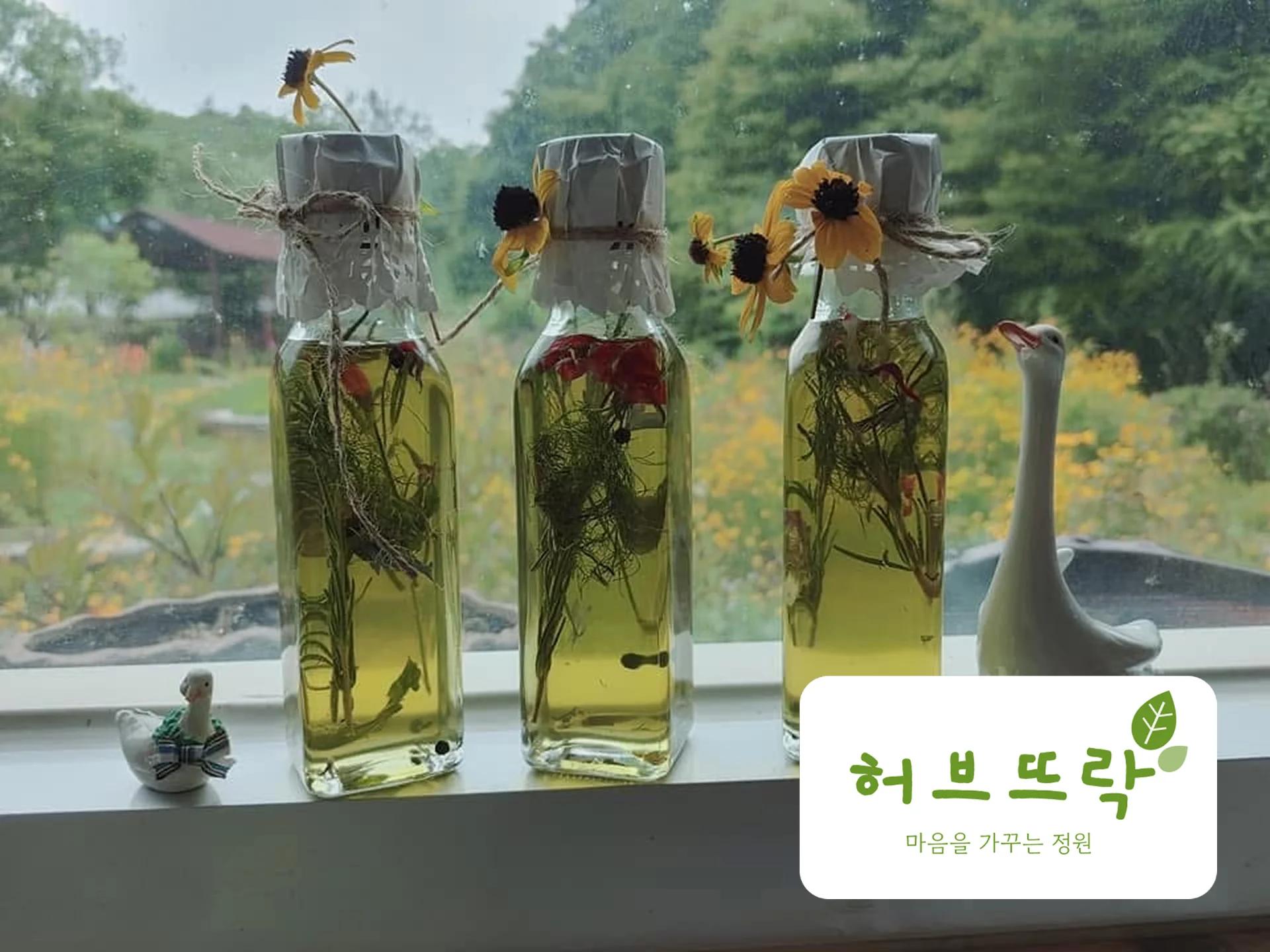 500종이 숨쉬는 뜨락에서 허브오일 만들기