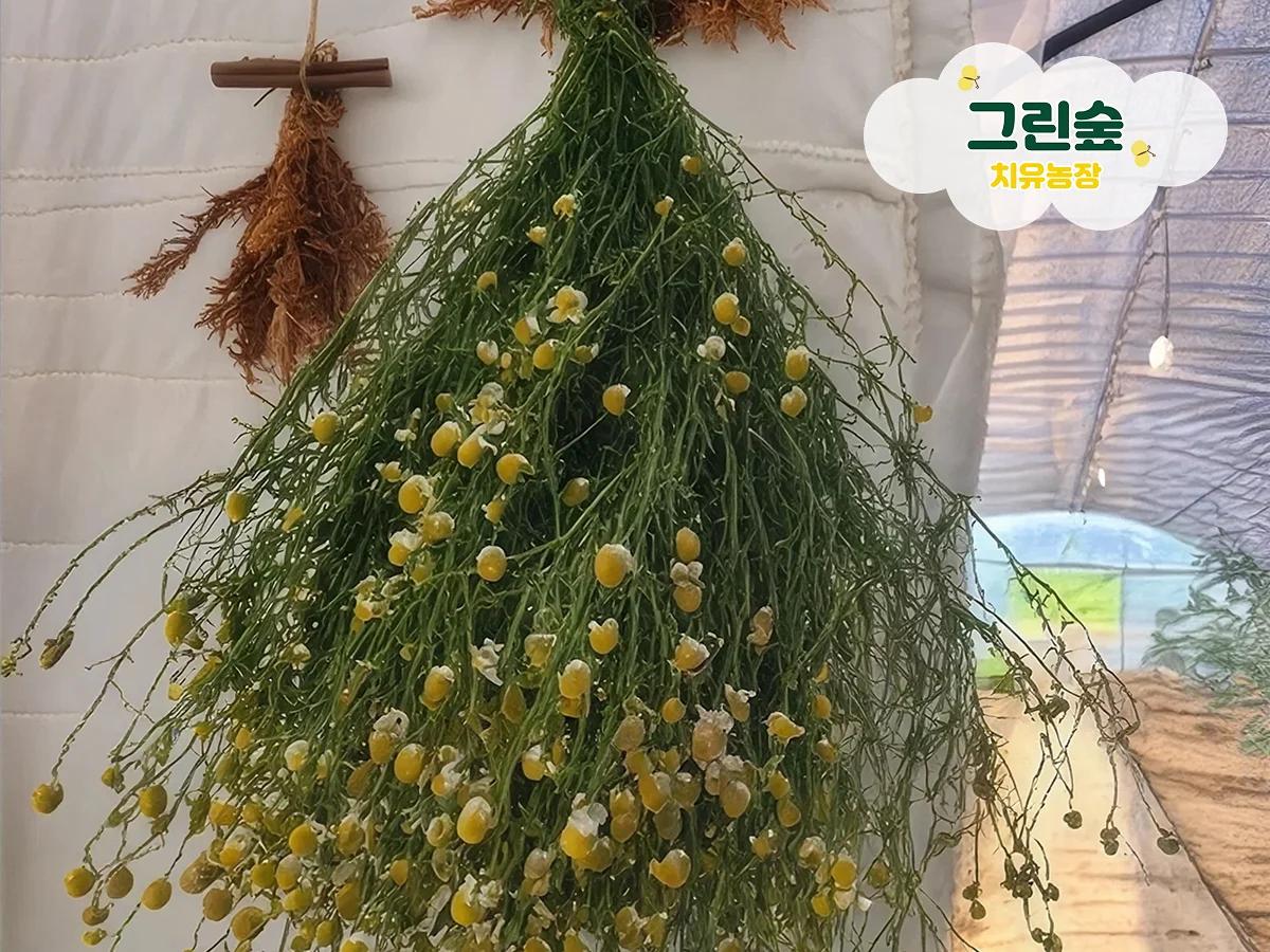 나만의 향을 묶어 만드는 허브 스머지 스틱 !