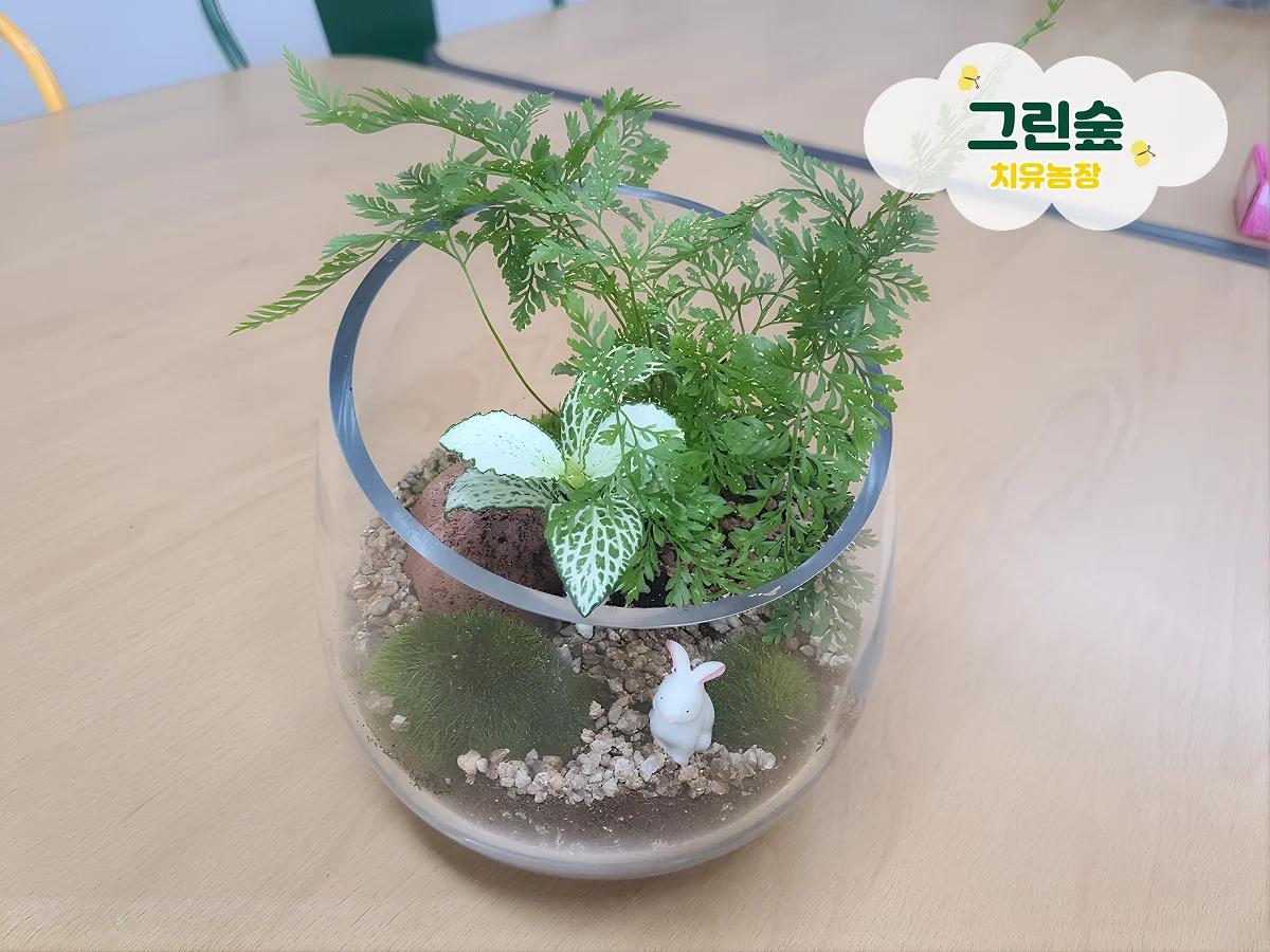 나만의 향기 가득 허브 테라리움