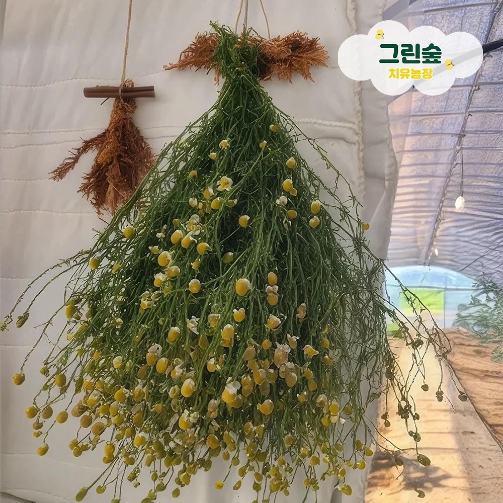 나만의 향을 묶어 만드는 허브 스머지 스틱 !
