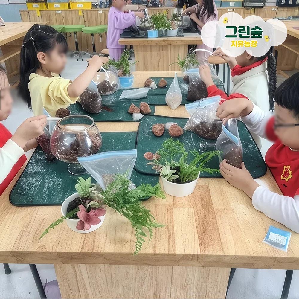 허브 고르기