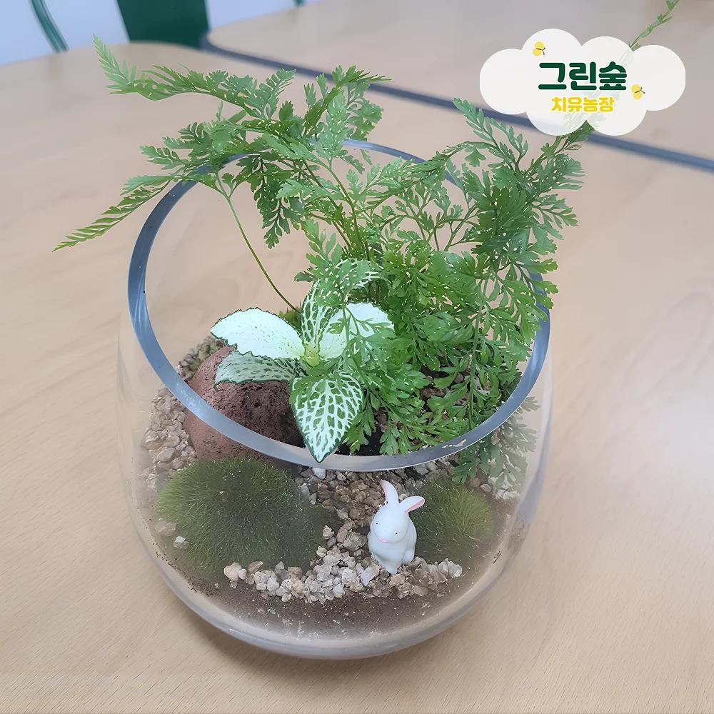 나만의 향기 가득 테라리움 만들기