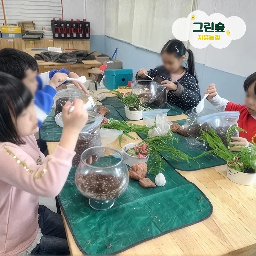 나만의 향기 가득 허브 테라리움 썸네일 2