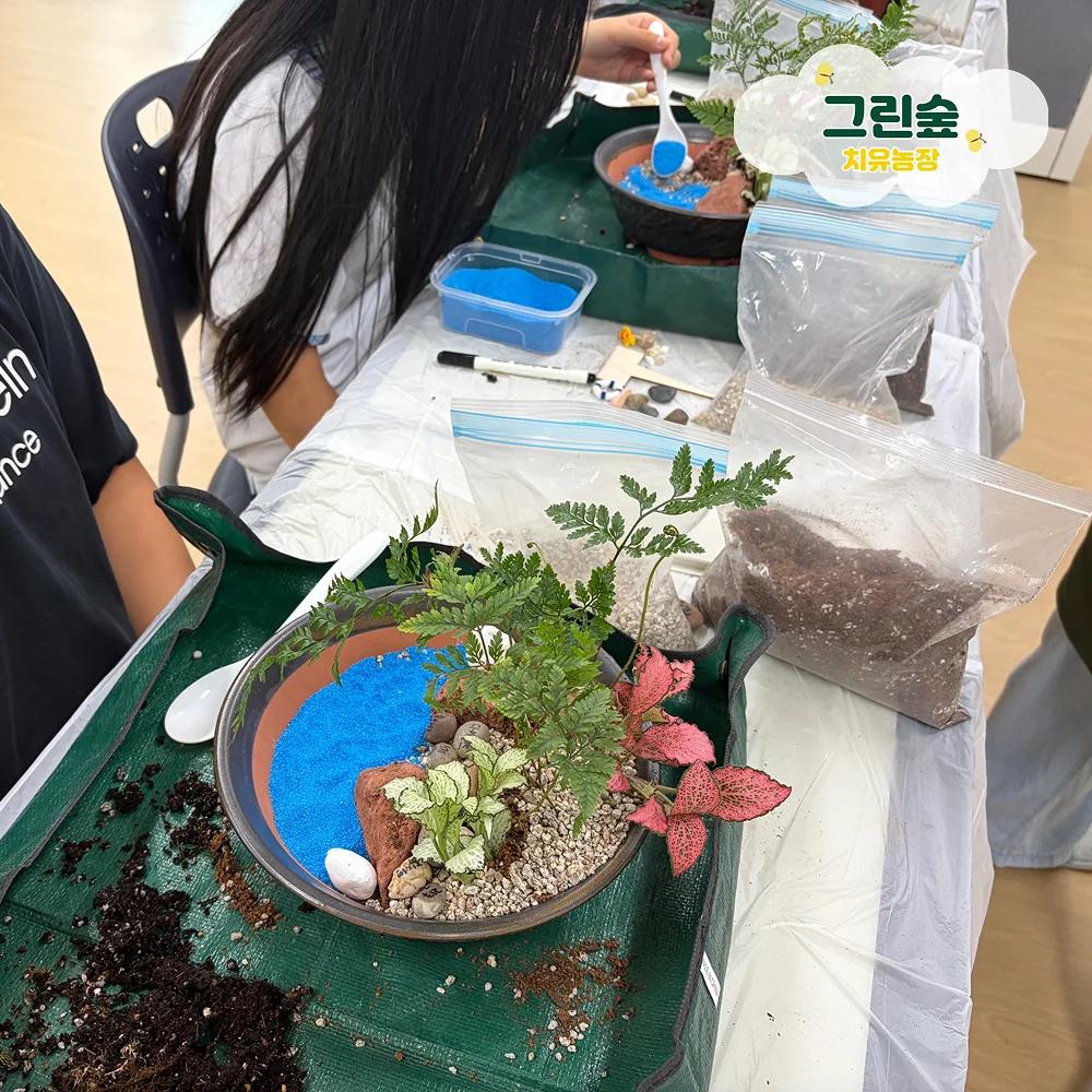 항아리에 만드는 나만의 마음 정원 썸네일 3