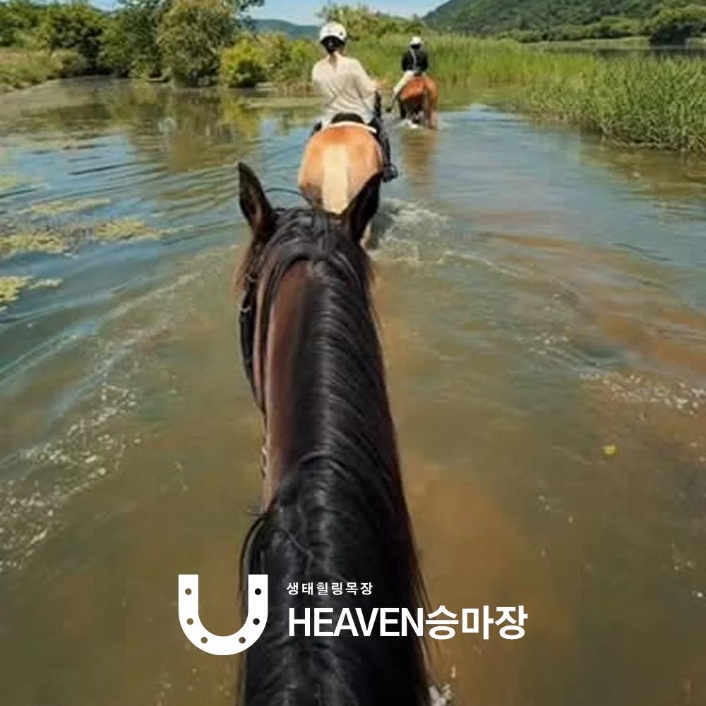 외승