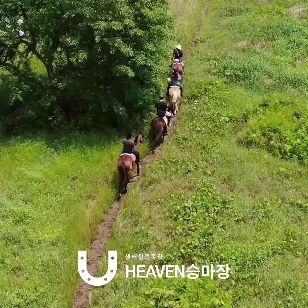 드들강변에서 경험하는 외승 체험 썸네일 2