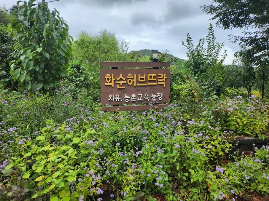 500종이 숨쉬는 뜨락에서 허브솔트 만들기