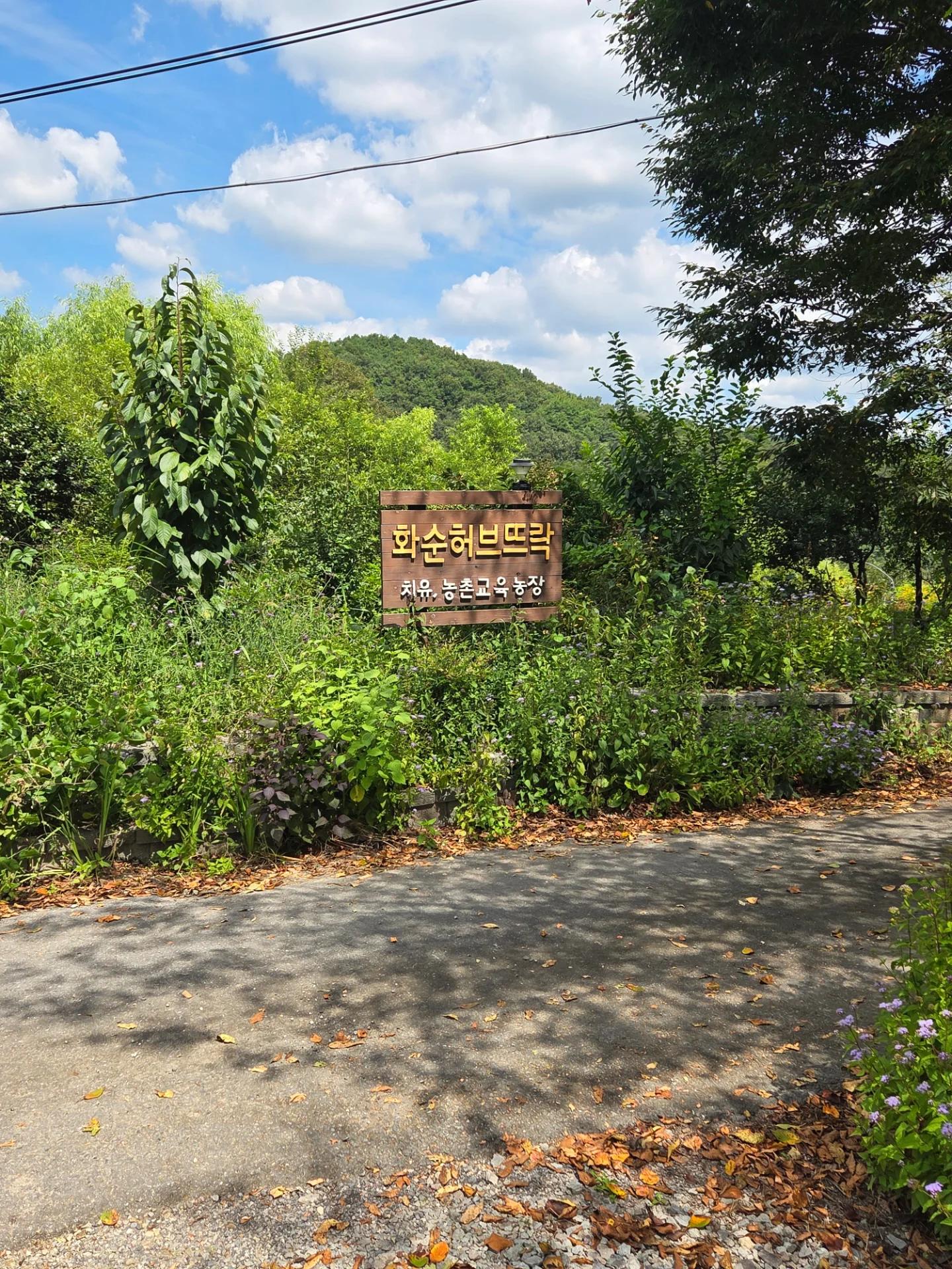 연*주 님의 후기 사진