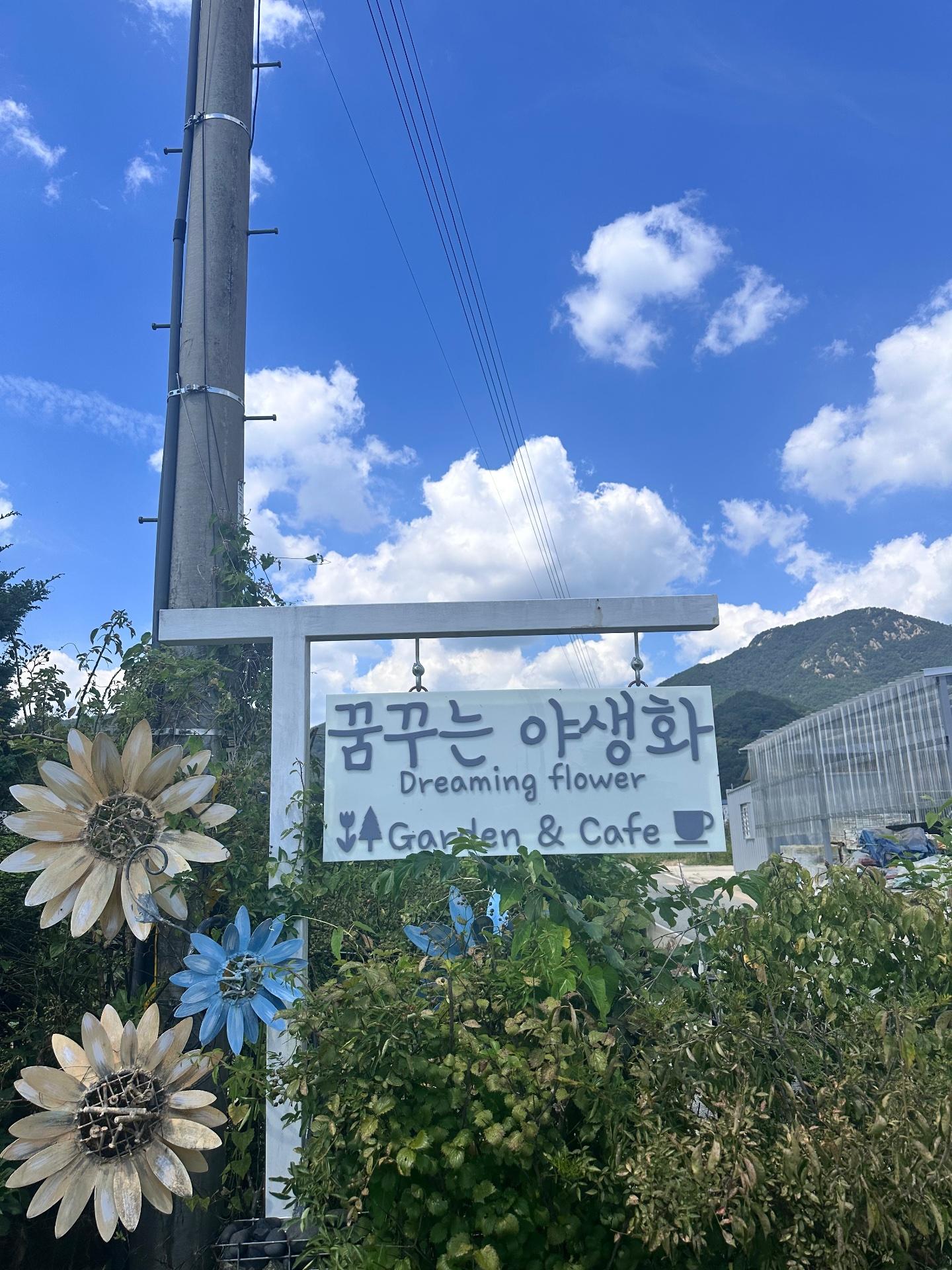 김*영 님의 후기 사진