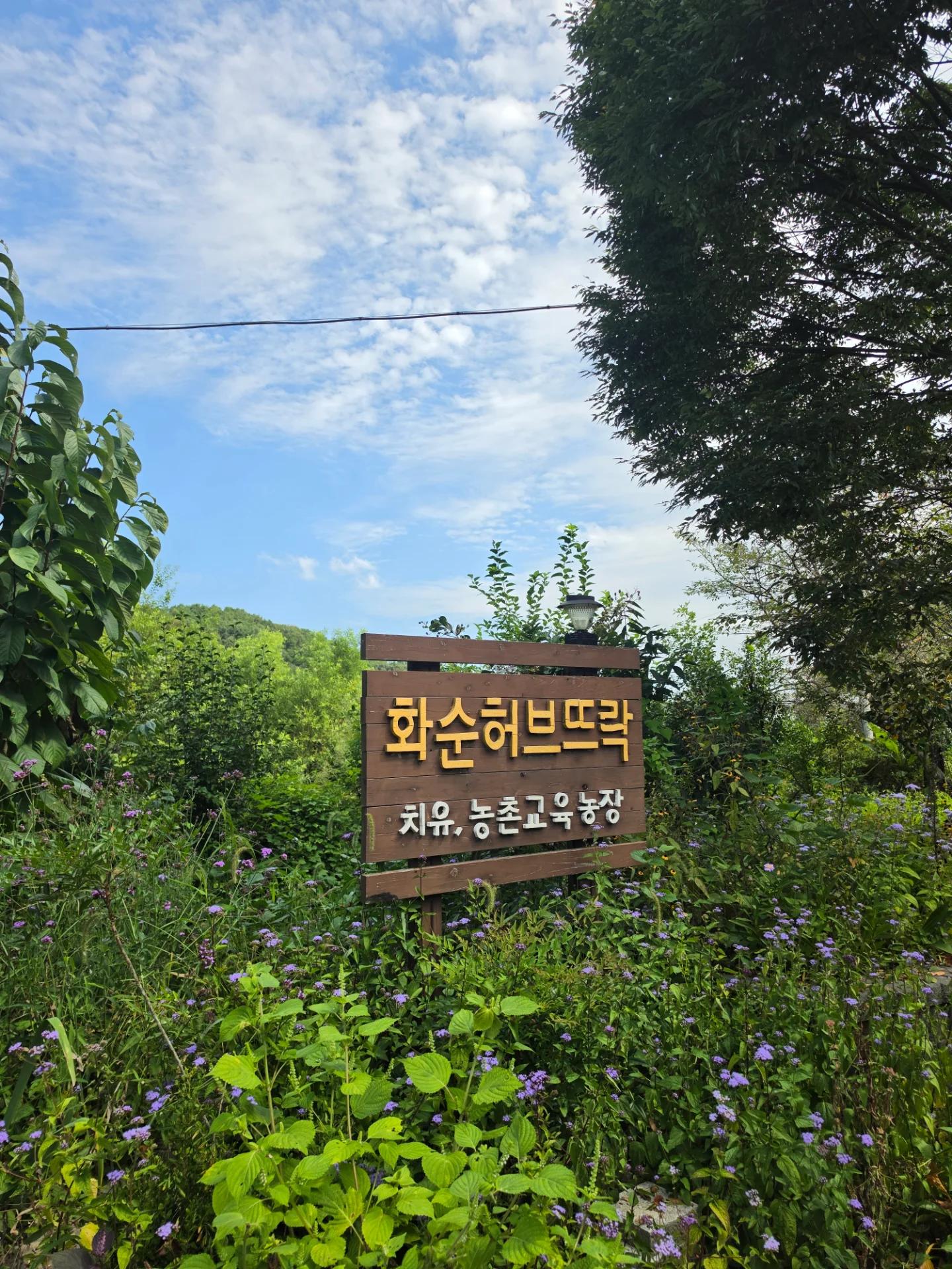 김*미 님의 후기 사진