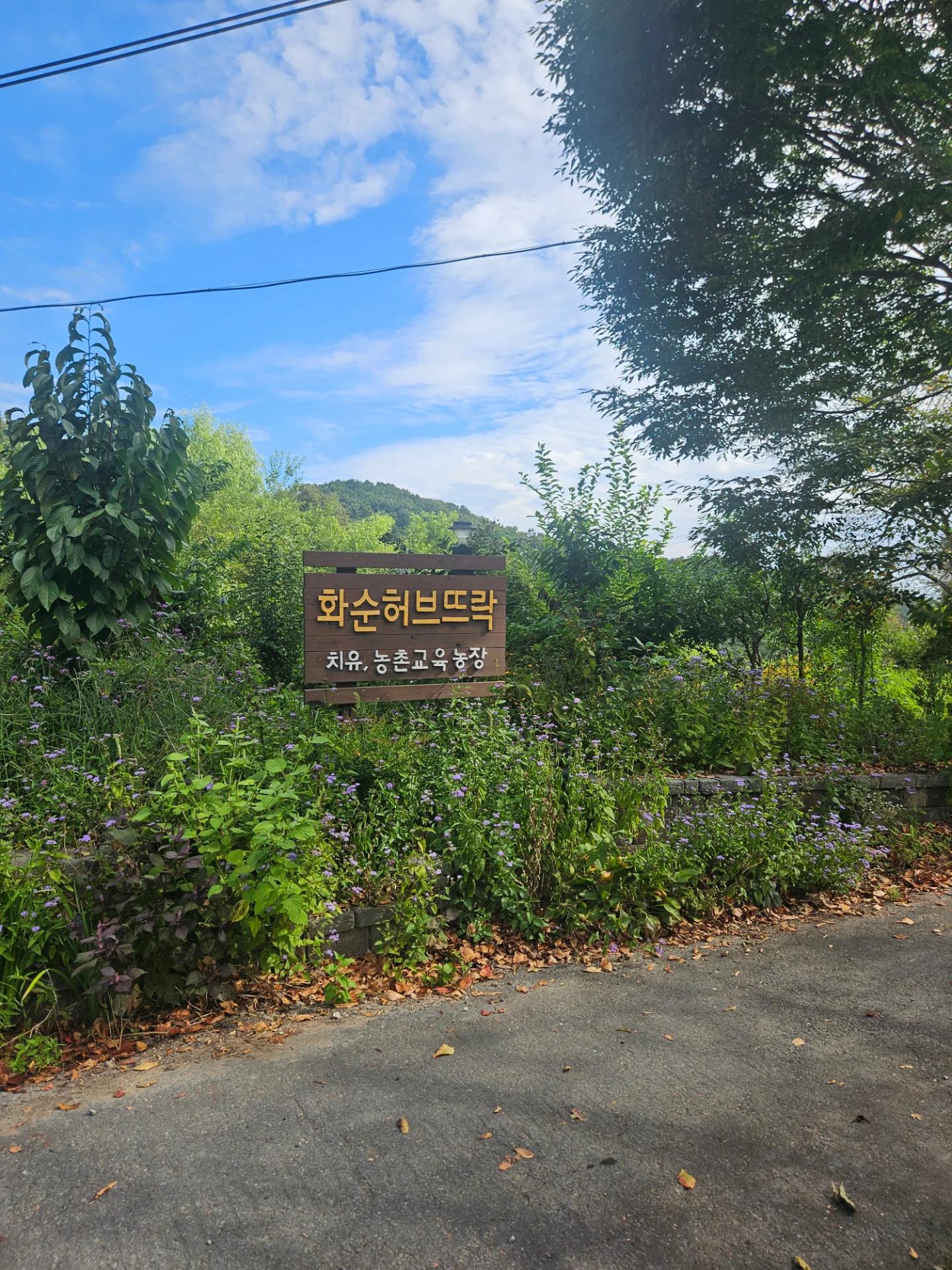 주*정 님의 후기 사진